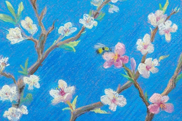 Part Painting Pastel Paper Blooming Branches Blue Sky Spring Bee — Stock Photo, Image