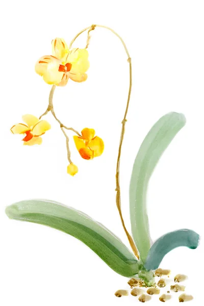 Pintura Acuarela Sobre Papel Boceto Orquídea Amarilla Floreciente Aislada Sobre —  Fotos de Stock