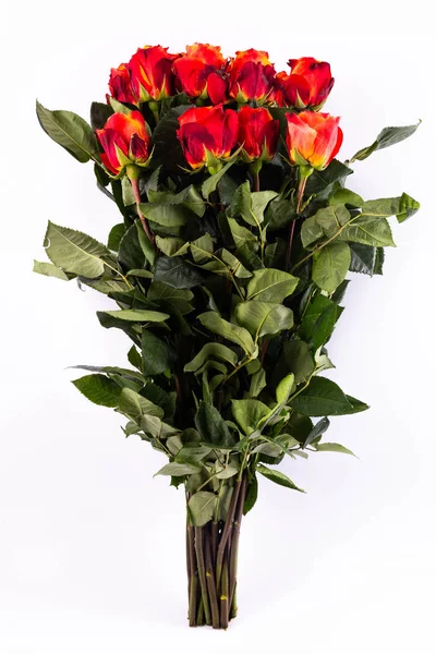 Bouquet Roses Écarlates — Photo