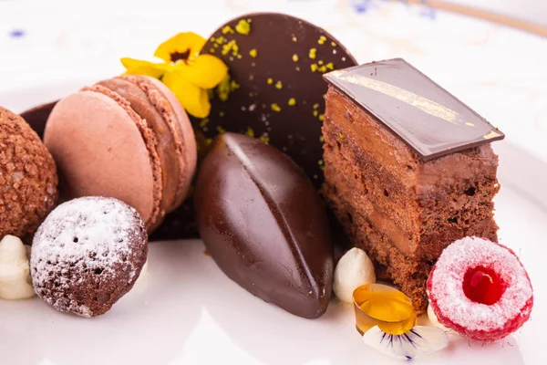 Dort Čokoládový Belgickou Čokoládu Čerstvé Bobule — Stock fotografie