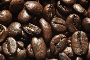 Kahve çekirdekleri kayın ağacı arka plan yakın çekim üzerinde