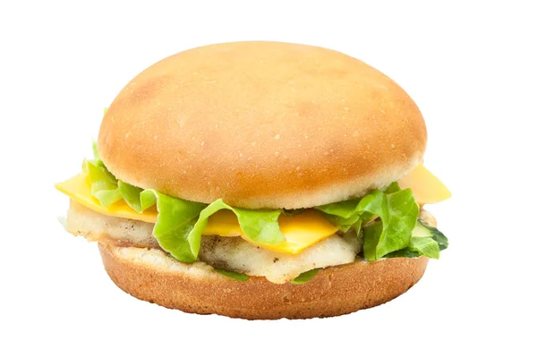 Hambúrguer Peixe Saboroso Com Salada Alface Fundo Branco — Fotografia de Stock