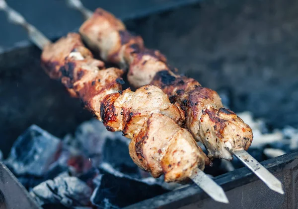 Tasty Shish Kebab Cooking Process Grilled Meat — Stock Photo, Image