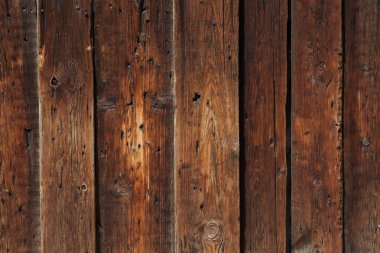 Ahşap yakın çekim çürüyen doku