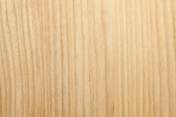 Текстура Букового Дерева Крупным Планом — стоковое фото