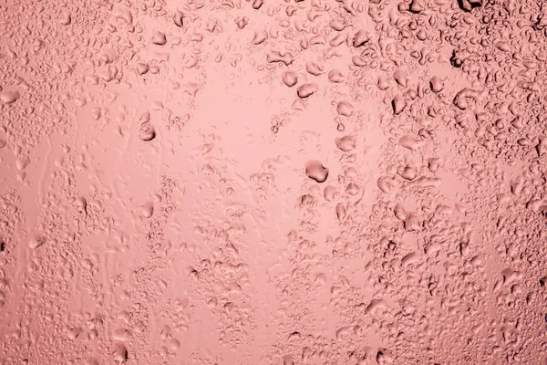 Rainy Window Drops Glass Pink Back Light — Stock Photo, Image