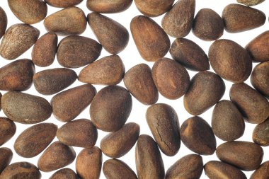 Çam fıstığı beyaz arka plan yakın çekim üzerinde. Doğal makro