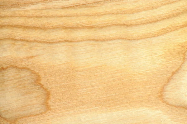 Текстура Букового Дерева Крупным Планом Деревянные Обои — стоковое фото