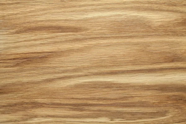 Texture Oak Tree Close Wooden Wallpaper — Stock Photo, Image