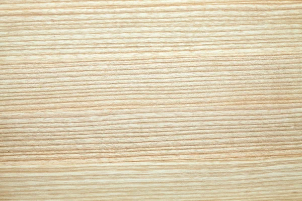 Texture Oak Tree Close Wooden Wallpaper — Stock Photo, Image