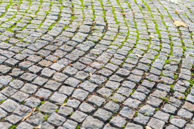 Moss ile kaldırım taşı. Eski sokak arka plan