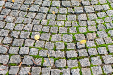 Moss ile kaldırım taşı. Eski sokak arka plan