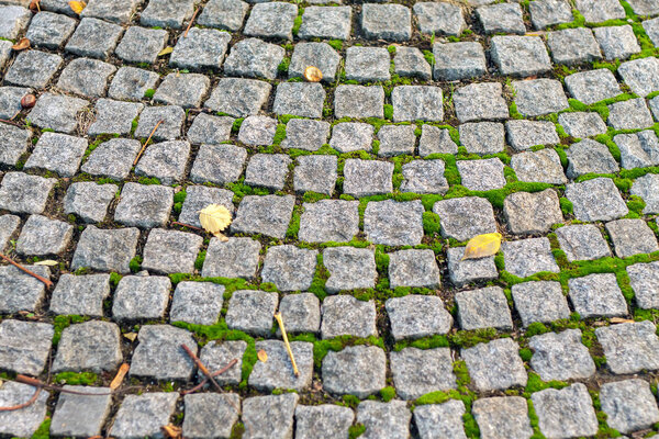 Paving stone with moss. Old street background