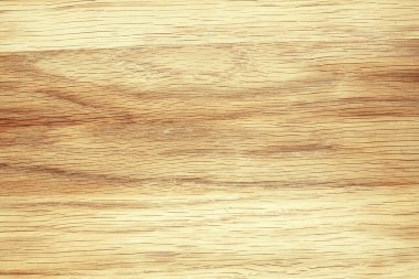 Kayın ağacı doku yakın çekim doku. Doğal ahşap arka plan