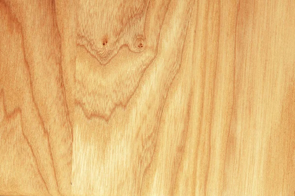 Tekstura Buk Drzewo Tekstura Zbliżenie Naturalne Drewniane Tła — Zdjęcie stockowe