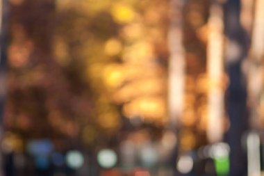 Sonbahar contre-jour bulanık sonbahar arka plan ormanda.