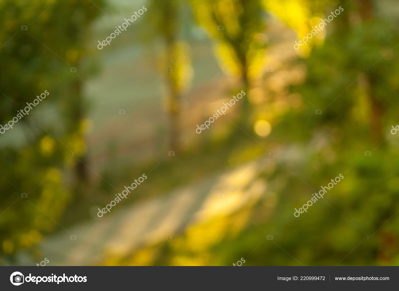 Fond écran Nature Floue Fond Forêt Bokeh Toile Fond