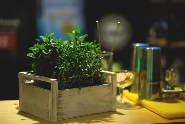 Scatola Legno Con Rosmarino Menta Sul Bancone Del Bar — Foto Stock