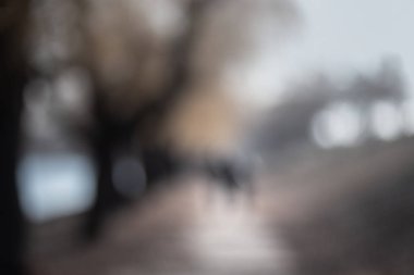 Parkta bulutlu sabah.