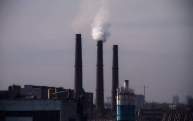 Duman yayan çalışma bitki yığınlarda duman ve hava kirliliği 