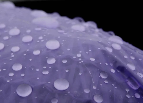 Condensation Drops Polyethylene Bag Close — Stock Photo, Image