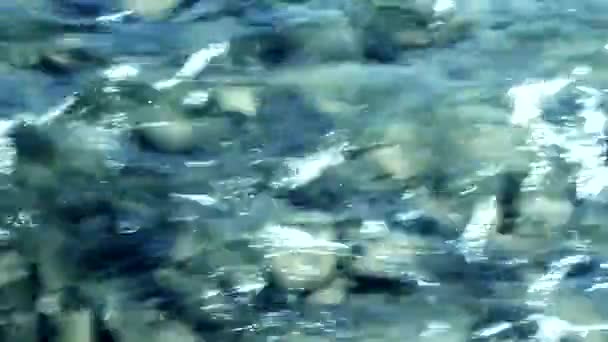 Corriente Agua Transparente Pequeño Río Montaña Close Video — Vídeo de stock