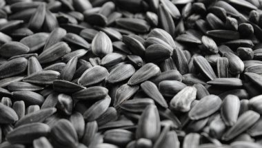 Daha Katmanlı Ay Çiçeği deseni Makro Çekim Fotoğrafı  