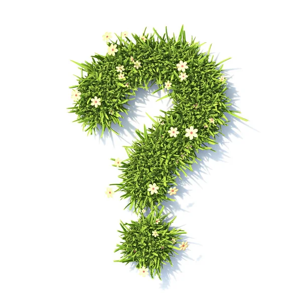 Grass Font Question Mark Sign Rendering Illustration Isolated White Background — Stock Photo, Image