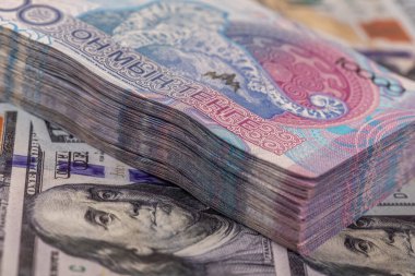 10.000 Kazakistan banknotuyla 100 ABD Doları 'nın arka planı karşı karşıya