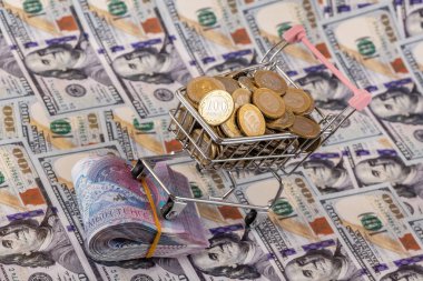 10000 Kazakistan banknotu ve 100 Amerikan dolarının arka planına karşılık 100 onluk sikke.