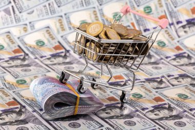 10000 Kazakistan banknotu ve 100 Amerikan dolarının arka planına karşılık 100 onluk sikke.