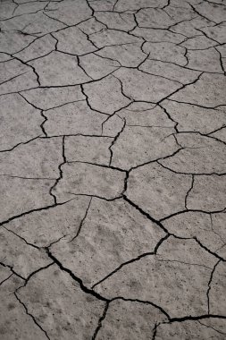 Çölde çatlamış kil