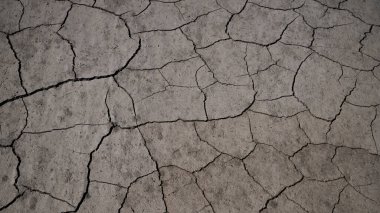 Çölde çatlamış kil