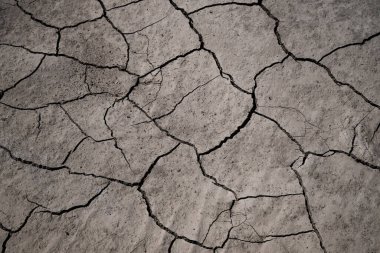 Çölde çatlamış kil