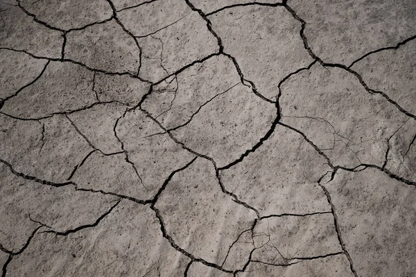 Çölde çatlamış kil