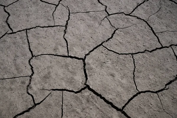 Çölde çatlamış kil