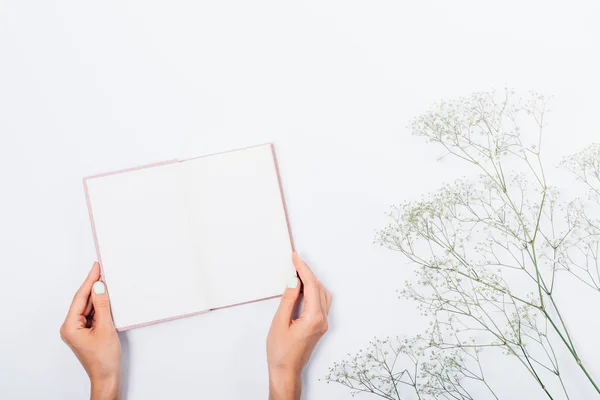 Woman\'s hands holding open book next to flowers branch on white background, top view. Girl showing blank pages of notebook, flat lay.