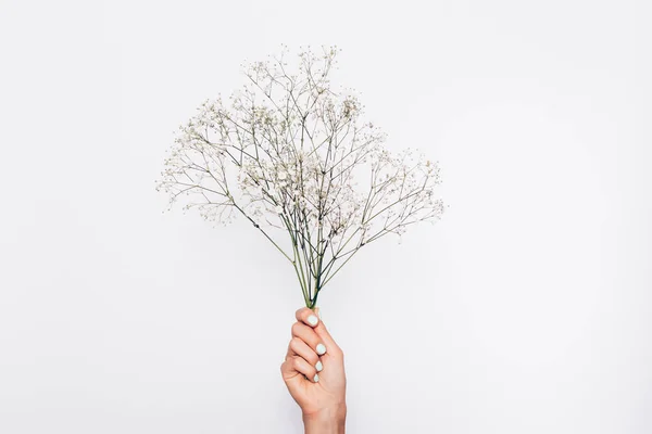 Gypsophila flowers bouquet in girl\'s hand on white background. Flat lay minimal florist composition.