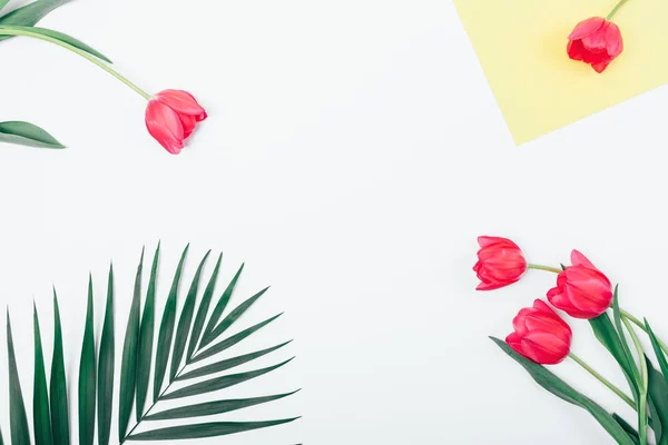 Flat lay composition of palm leaf and pink tulip