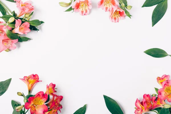 Flache Lage Dekorativen Eckrahmen Aus Rosa Blumen Und Grunen Blattern Auf Weissem Hintergrund Mit Kopierraum Legen Blanko Stock Photo 233491236