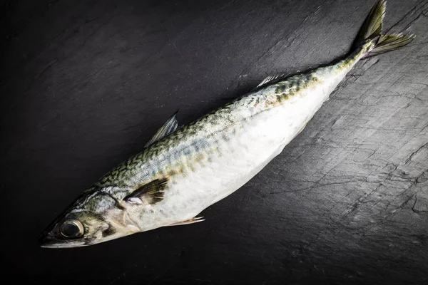 Sgombro Pesce Fresco Tavolo Ardesia Nera Preparato Cottura — Foto Stock