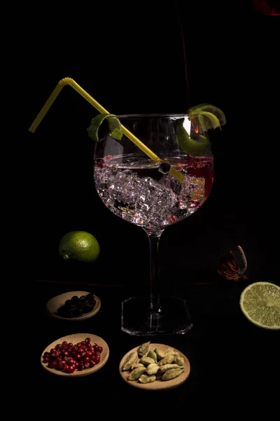 Chutné Čerstvé Gin Tonikem Koktejl Černém Pozadí Vedle Své Ingredience — Stock fotografie
