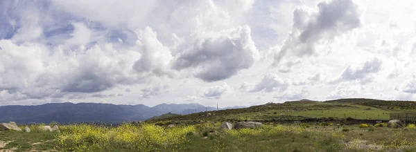 Aussicht Auf Schöne Grüne Berge Mit Wegen Und Steinen Sommer — Stockfoto