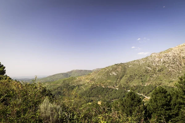 Panorámica Hermosas Montañas Verdes Con Caminos Piedras Verano — Foto de Stock