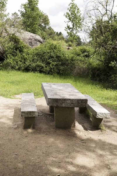 Table Pierre Pour Pique Nique Ombre Arbre Dans Une Forêt — Photo