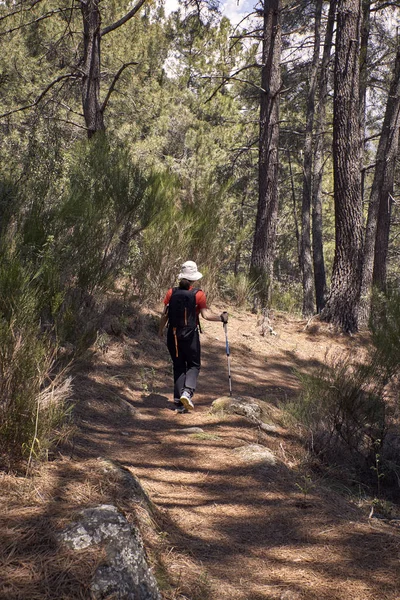 Femme faisant du trekking dans la nature — Photo