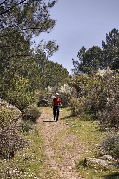 Femme faisant du trekking dans la nature — Photo