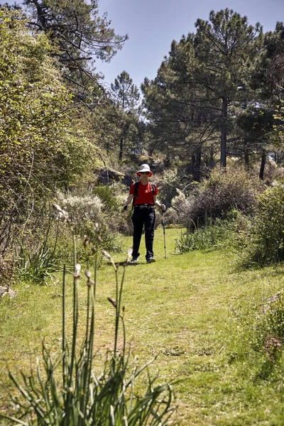 Femme faisant du trekking dans la nature — Photo