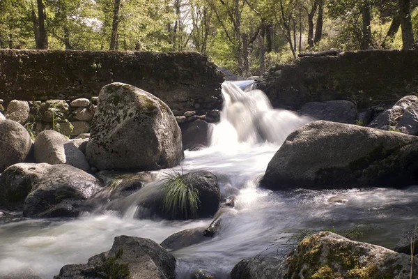 Cascata di seta di un fiume nel cuore di una foresta — Foto Stock