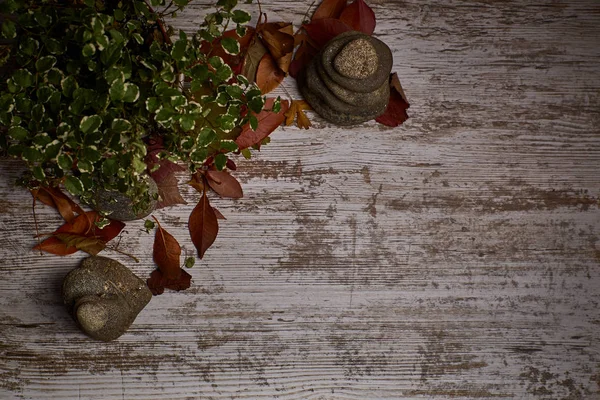 Світлий дерев'яний стіл з сушеним листям і фруктами навколо — стокове фото